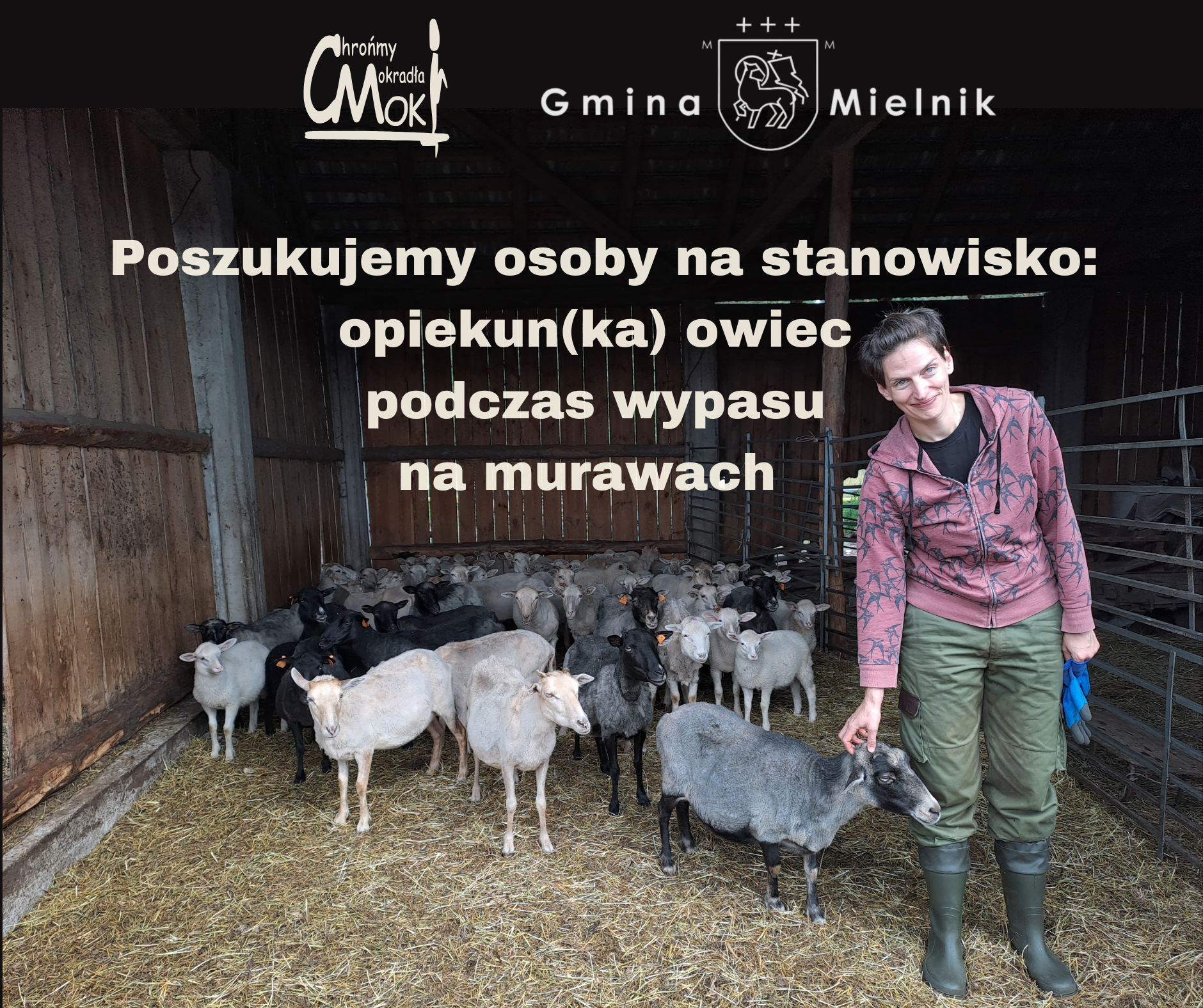 rekrutacja opieka do owiec