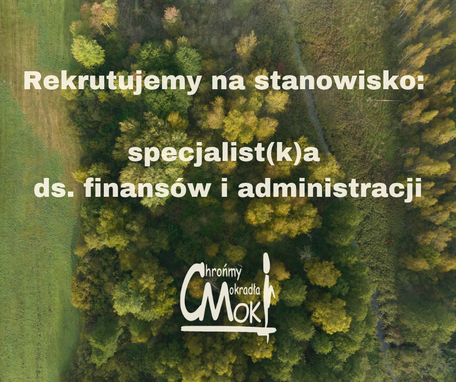 rekrutacja finanse i administracja