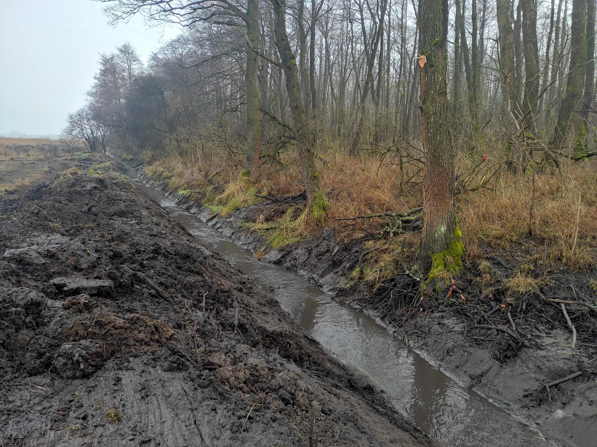 zdj J Morawski SNB prace nawodnieniowe wg ZSiNPK 2