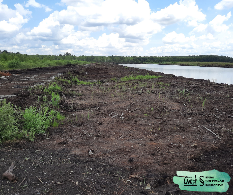 Kopalnia torfu, fot. CMok