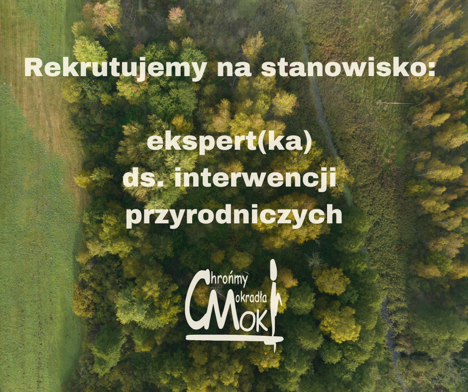 rekrutacja LIFE