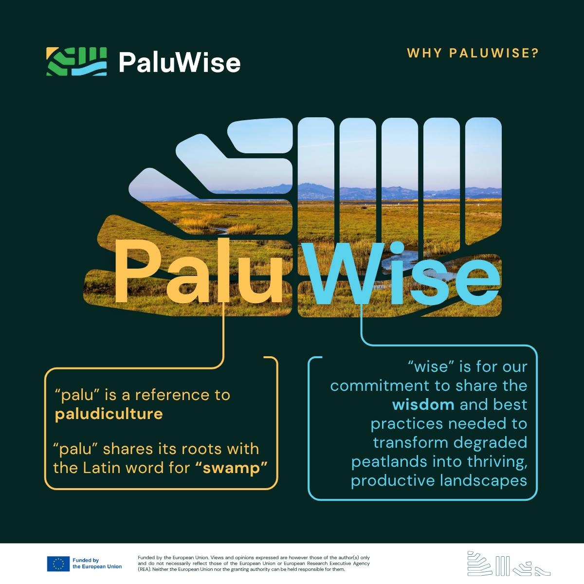 paluwise why